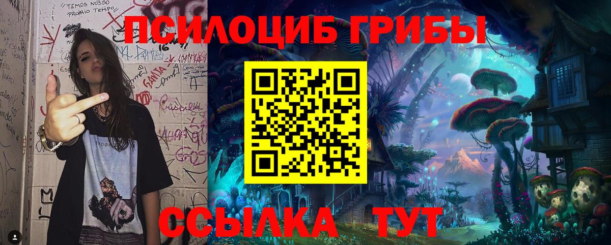 Калуга  закладки  Вход с VPN  Псилоцибиновые грибы прущие грибы 